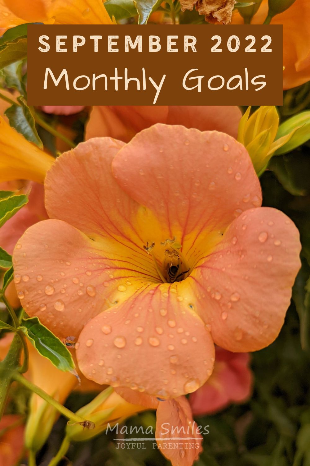 September 2022 monthly goals mama smiles joyful parenting