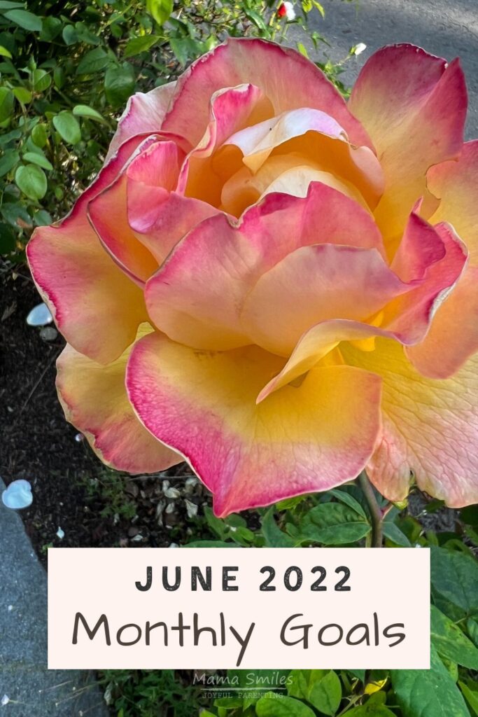 Setting Monthly Goals for June 2023