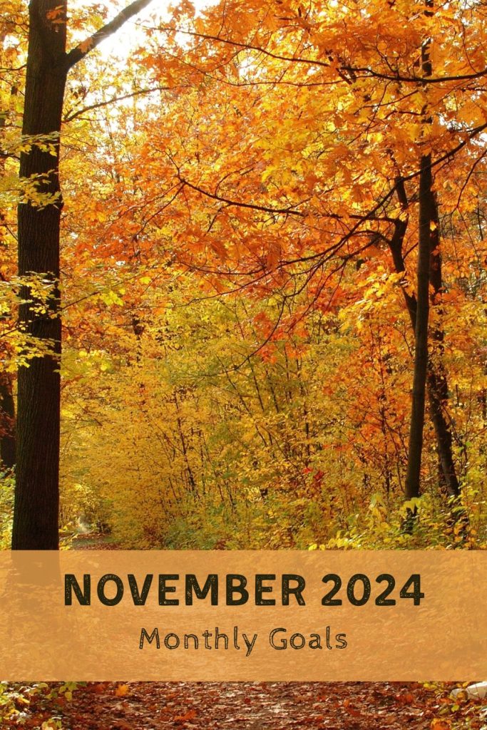 Monthly goals for November 2024. Every month I set a few attainable goals as a way to stay motivated and focus on what I want to accomplish.