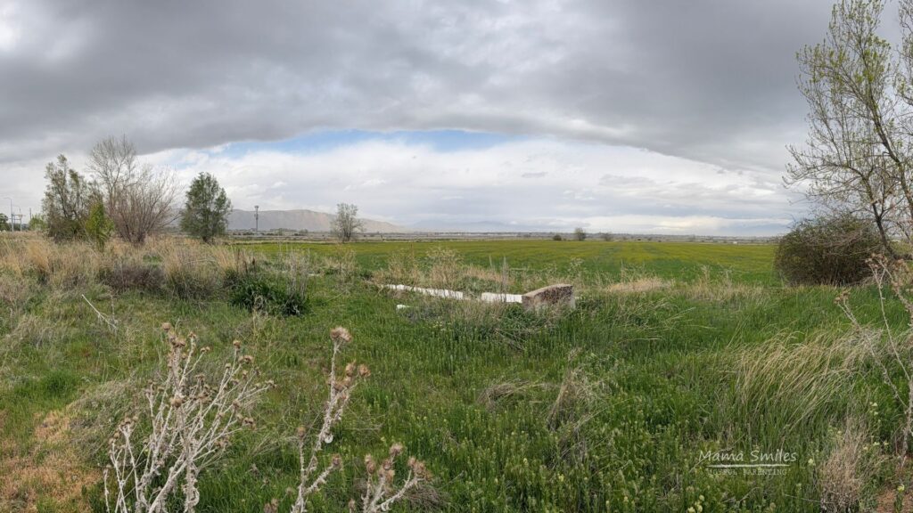 My childhood farm