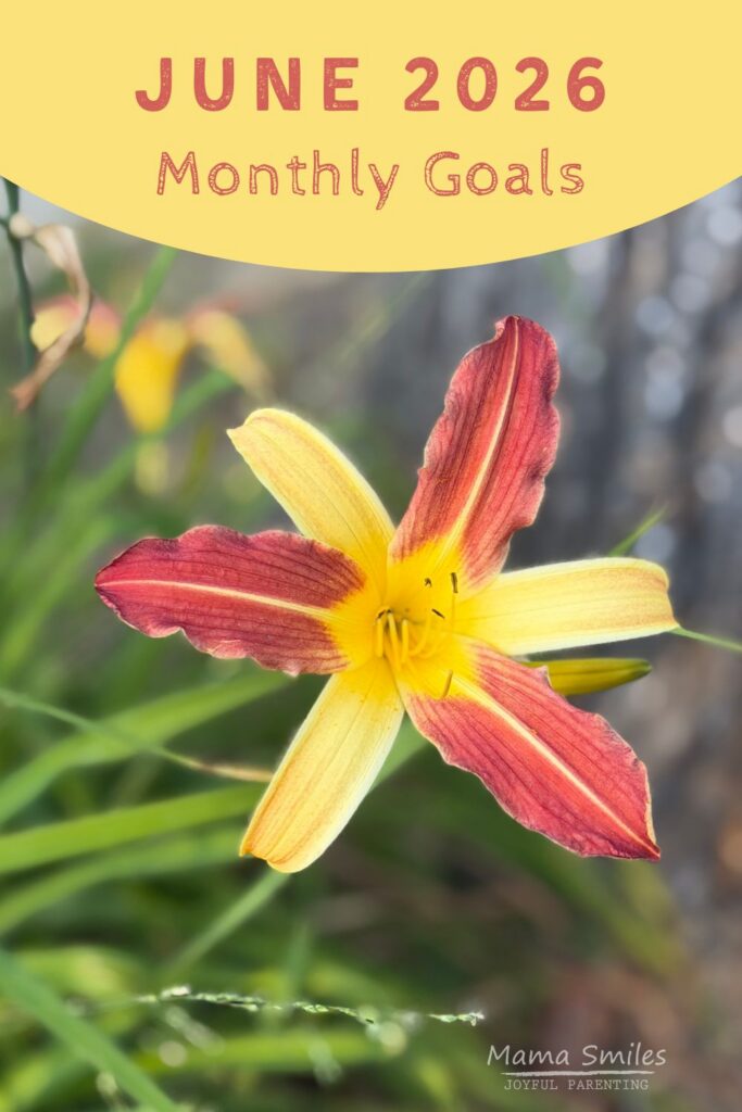 Every month I set a few goals to focus my life. Here are my June goals for 2026