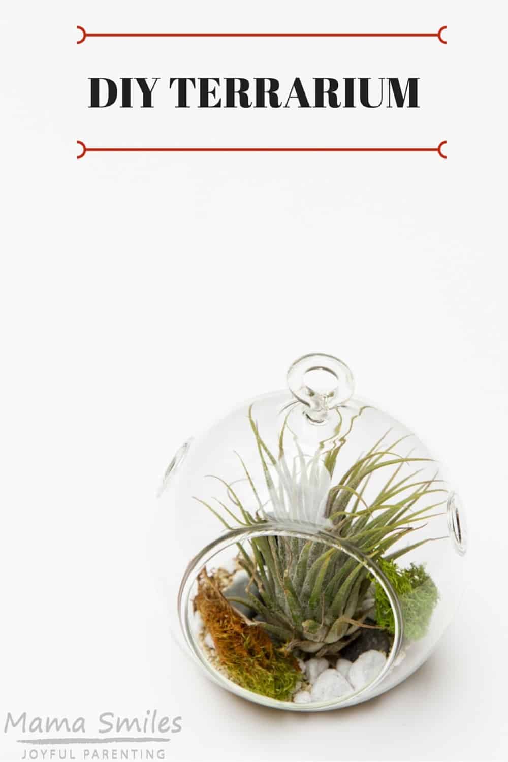 These DIY terrariums are gorgeous! They are wonderful as gifts or to keep as decoration in your own home.