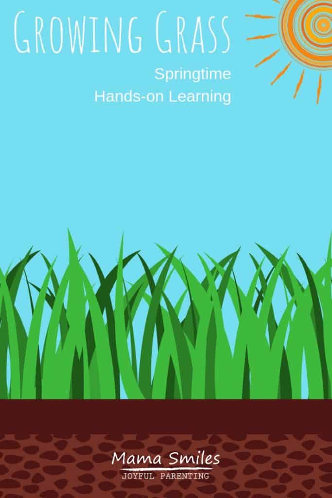 Growing Grass and Other Earth Day Themed Learning Activities for #Preschool #EarthDay #ece #edchat