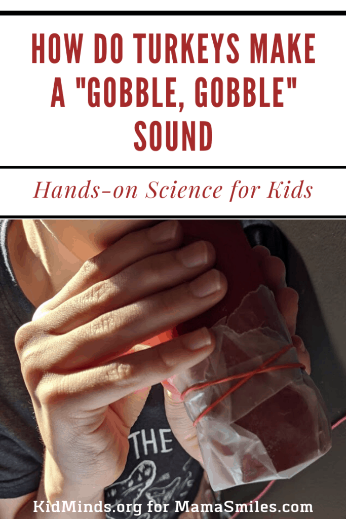 hands-on Thanksgiving science for kids