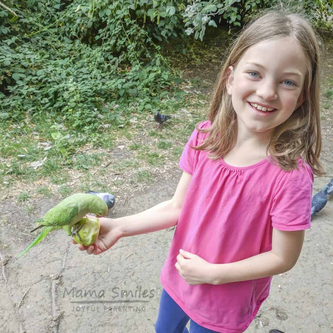 Feeding parakeets in Hyde Park London