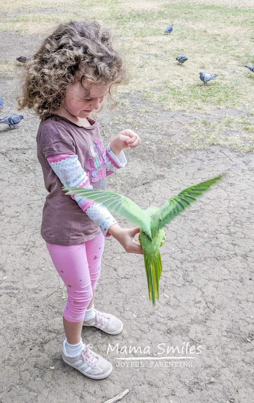 Feeding the parakeets in Hyde Park