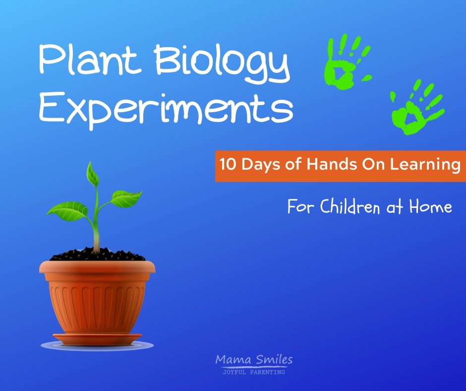 Plant Biology experiments that can be done at home