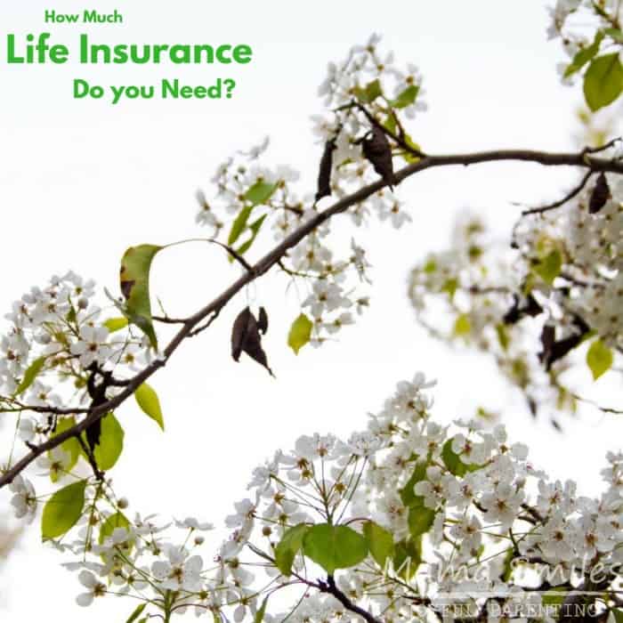 Tips to help you decide just how life insurance you need. Post sponsored by Aflac. #maintainyourlifestyle #ad