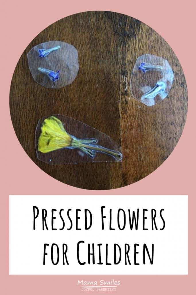 Children love flowers, but sometimes they want them to last for longer than is truly realistic! These simple pressed flowers for children can withstand hours of play and are easy to make. #kidsactivities #pressedflowers