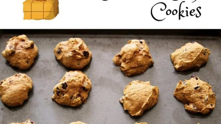 The best pumpkin chocolate chip cookie recipe