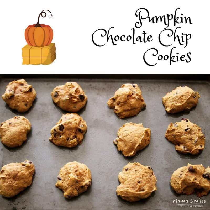 The best pumpkin chocolate chip cookie recipe