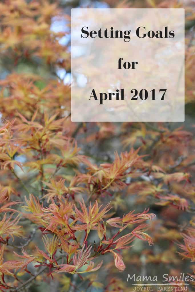 Set goals month by month to make and keep them attainable. Monthly goals for April 2017.