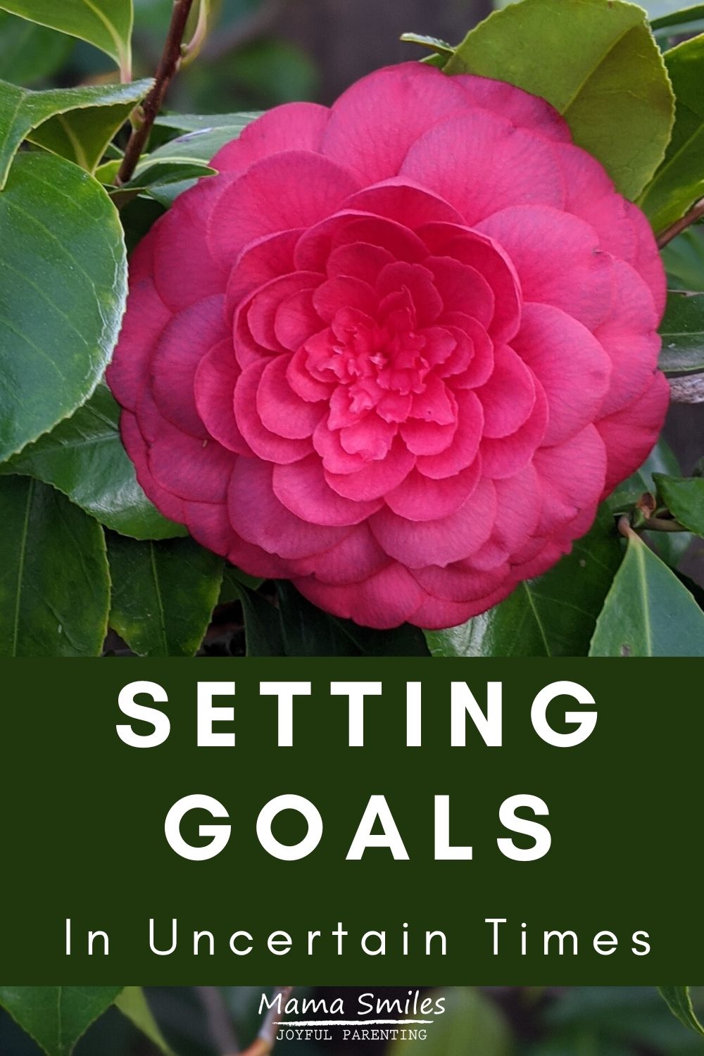Setting Goals in Uncertain Times - Mama Smiles - Joyful Parenting