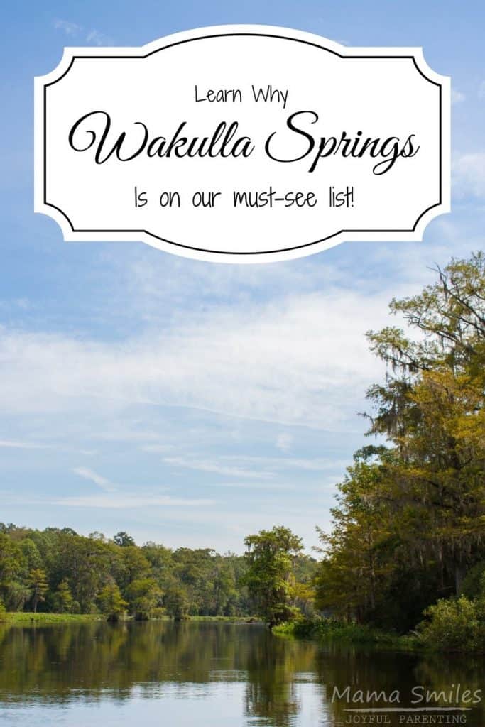 Vibrant Nature At Wakulla Springs State Park {Floridas Best}
