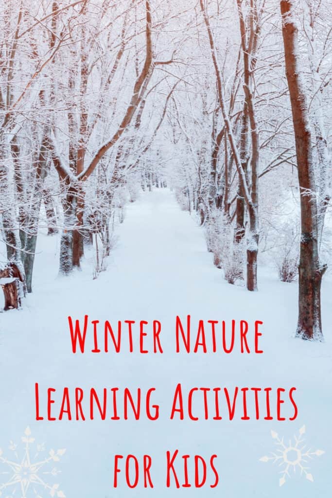 Keep the kids connected to the outside world all throughout winter with these simple #wintertime #nature learning #kidsactivities. There are some great ways to keep kids creative and curious through these cold months! Guest post. #winteractivitiesforkids