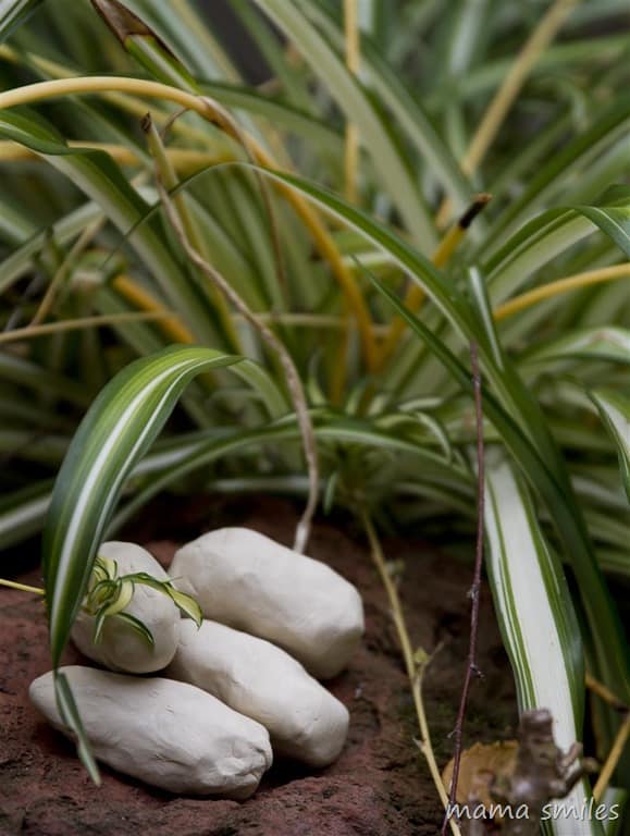 Spark imagination and set the scene for magical pretend play with these simple DIY dinosaur eggs!