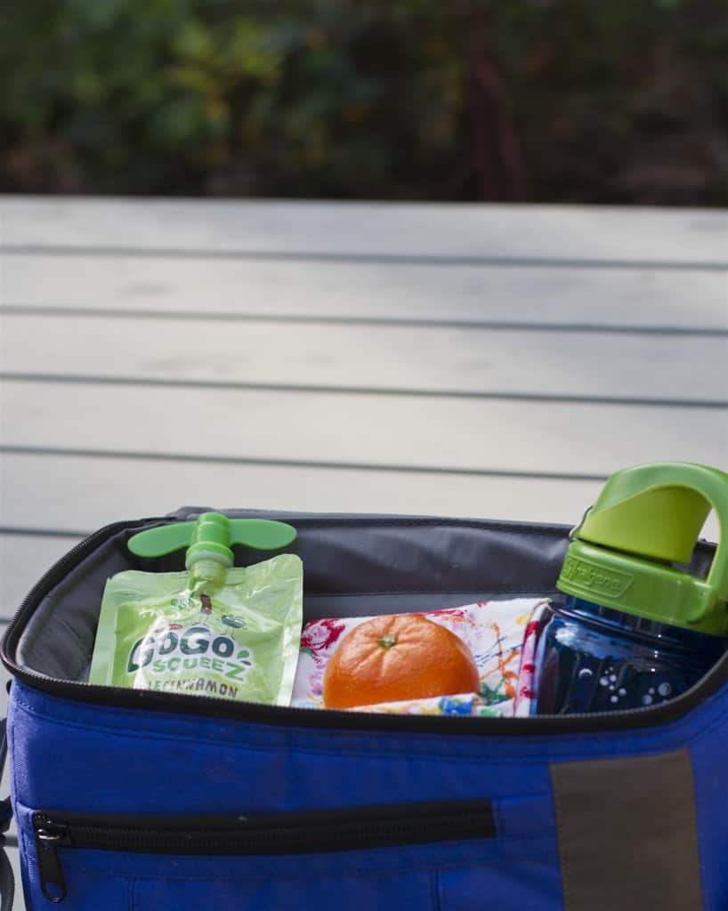 easy and healthy school lunches