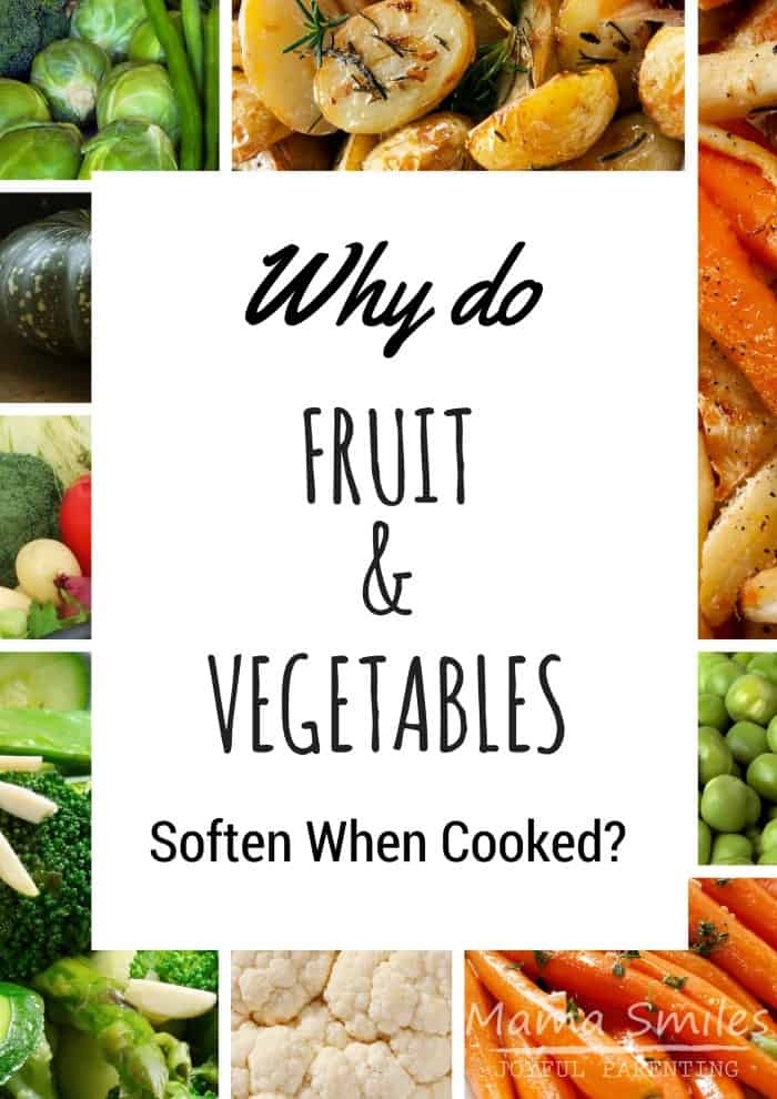Food Science for Kids: Why do Fruits and Vegetables Get Soft When Cooked?