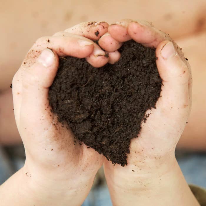 Easy things children can do to help with conservation