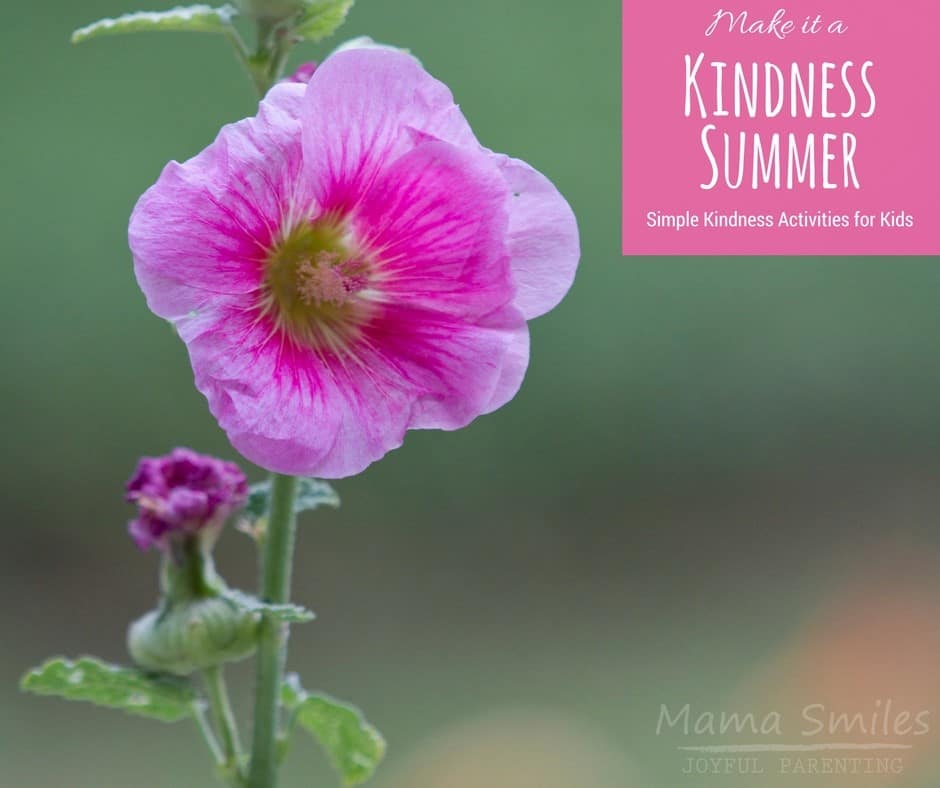 Make this summer a kindness summer.