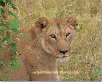 World Culture for Kids: Kenya