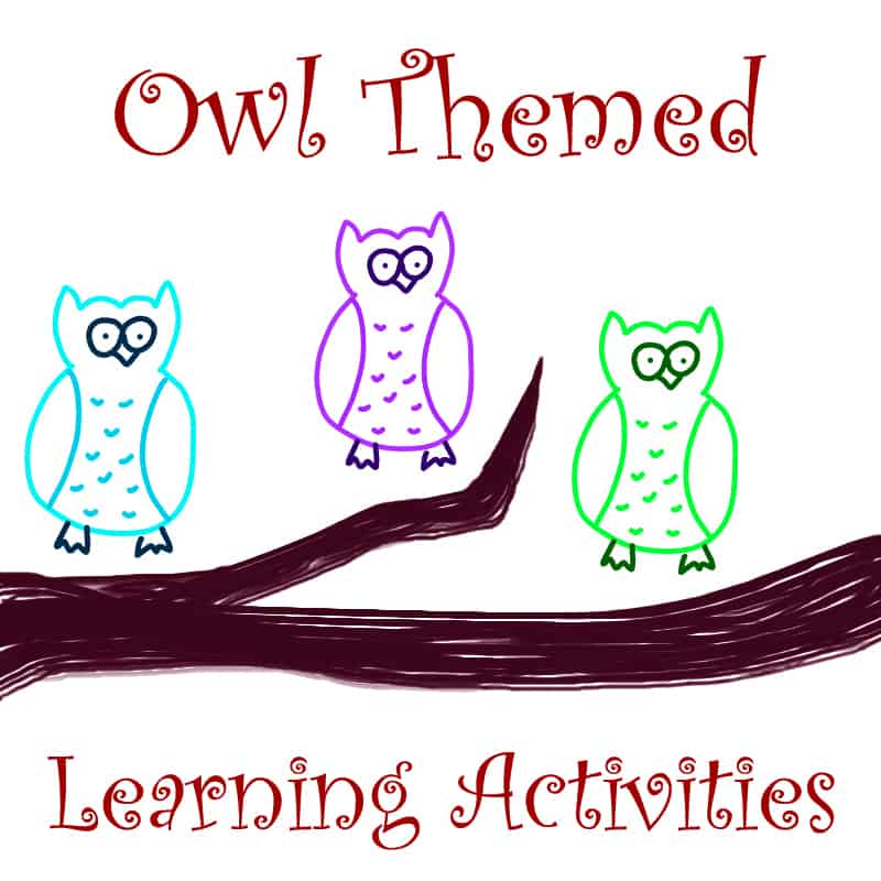Learn numbers, letters, colors, science, and more with these fun, free owl themed learning activities for kids. Pair with an Martin Waddell's "Owl Babies".