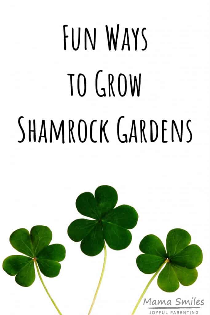 Get into the spirit of spring and St. Patrick's Day! Show off your green thumb with these fun ways to grow shamrock gardens. #stpatricksday #springcrafts #shamrocks #shamrockgardens #kidsactivities