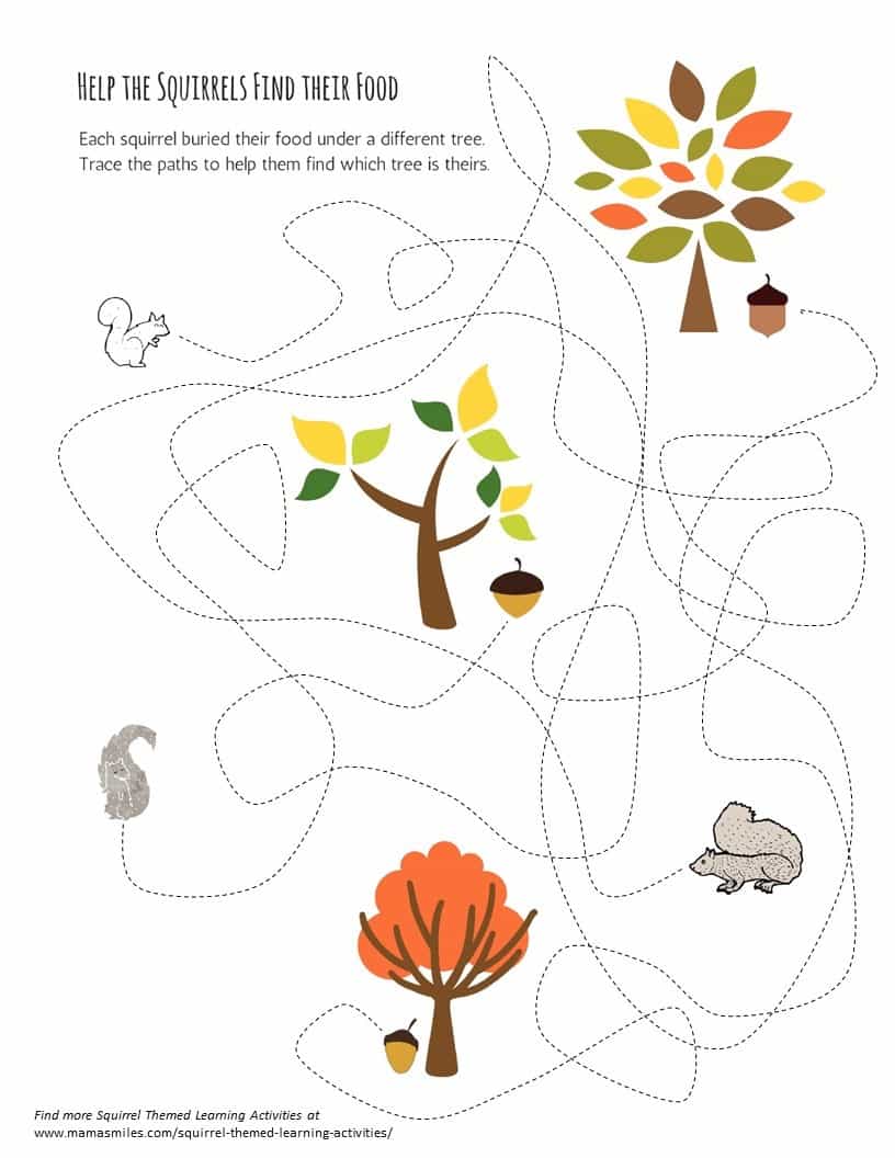 Squirrel tracing printable, plus more acorn and squirrel themed learning activities for kids